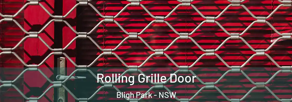  Rolling Grille Door Bligh Park - NSW