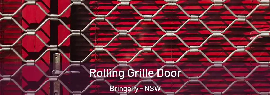  Rolling Grille Door Bringelly - NSW