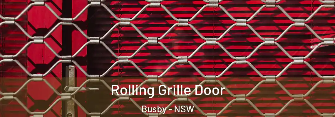  Rolling Grille Door Busby - NSW