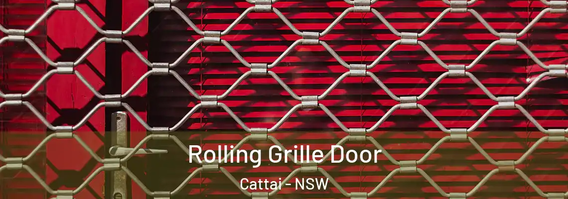  Rolling Grille Door Cattai - NSW