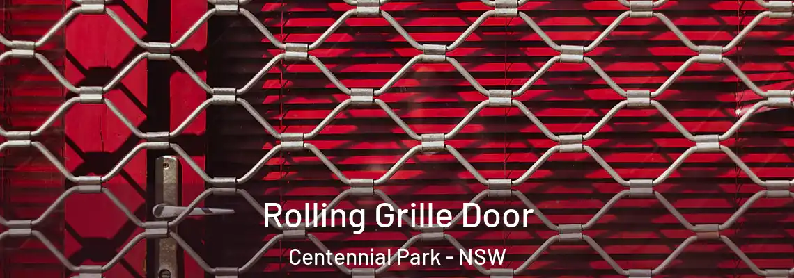  Rolling Grille Door Centennial Park - NSW
