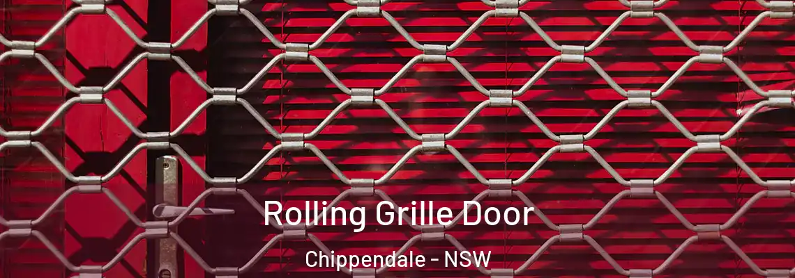  Rolling Grille Door Chippendale - NSW