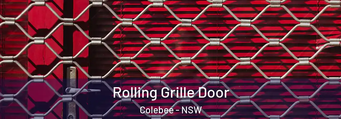  Rolling Grille Door Colebee - NSW