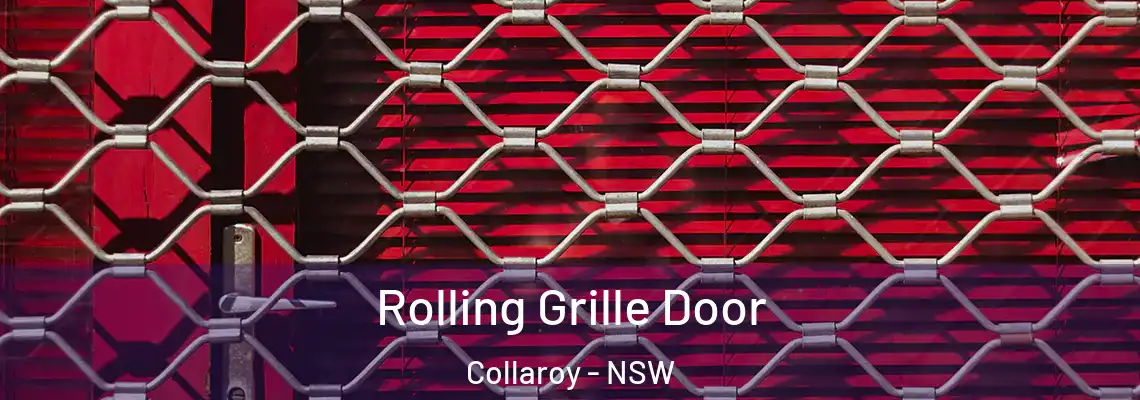  Rolling Grille Door Collaroy - NSW