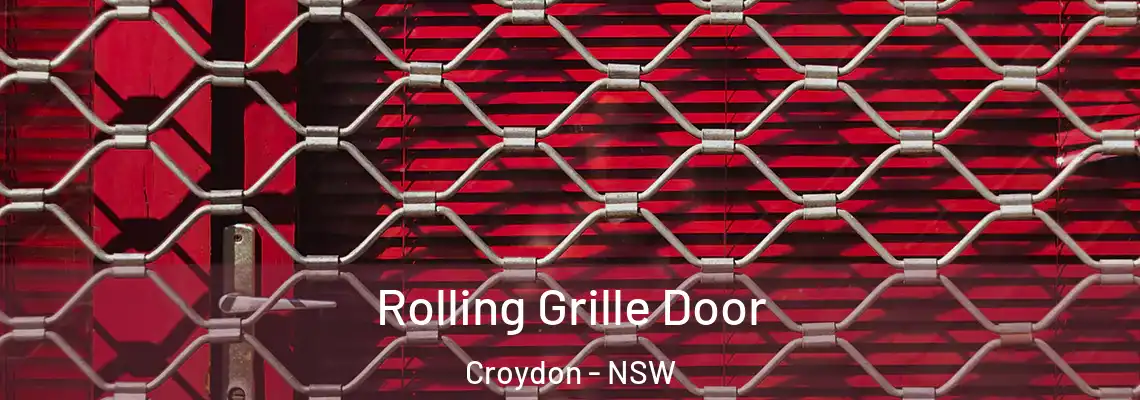  Rolling Grille Door Croydon - NSW