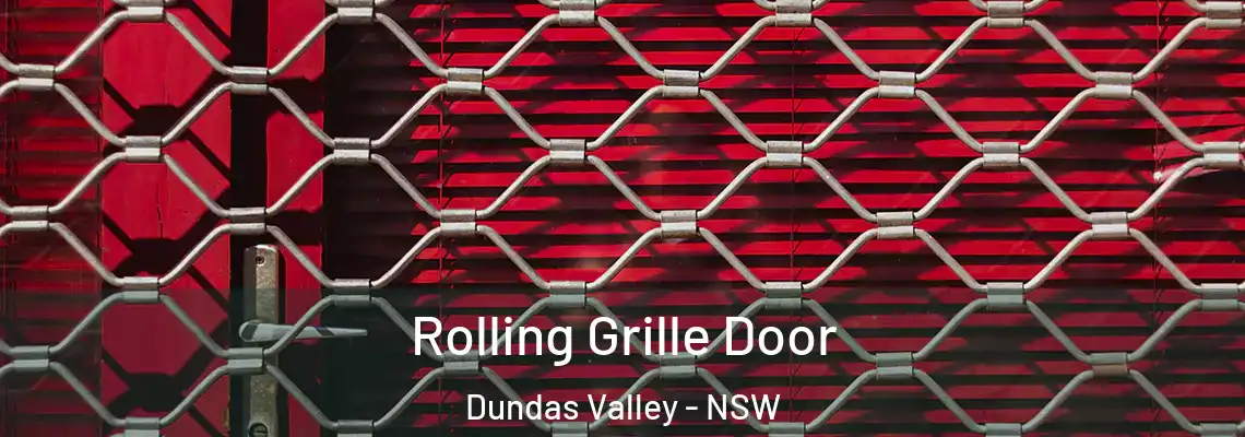  Rolling Grille Door Dundas Valley - NSW