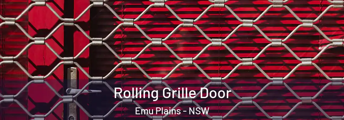  Rolling Grille Door Emu Plains - NSW