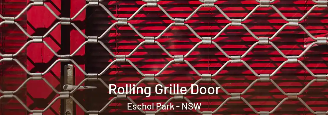  Rolling Grille Door Eschol Park - NSW