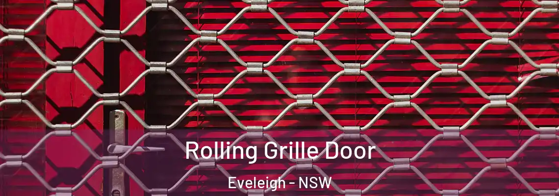  Rolling Grille Door Eveleigh - NSW