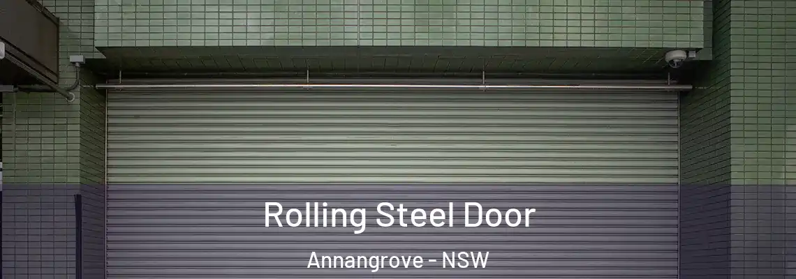  Rolling Steel Door Annangrove - NSW