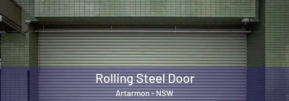  Rolling Steel Door Artarmon - NSW