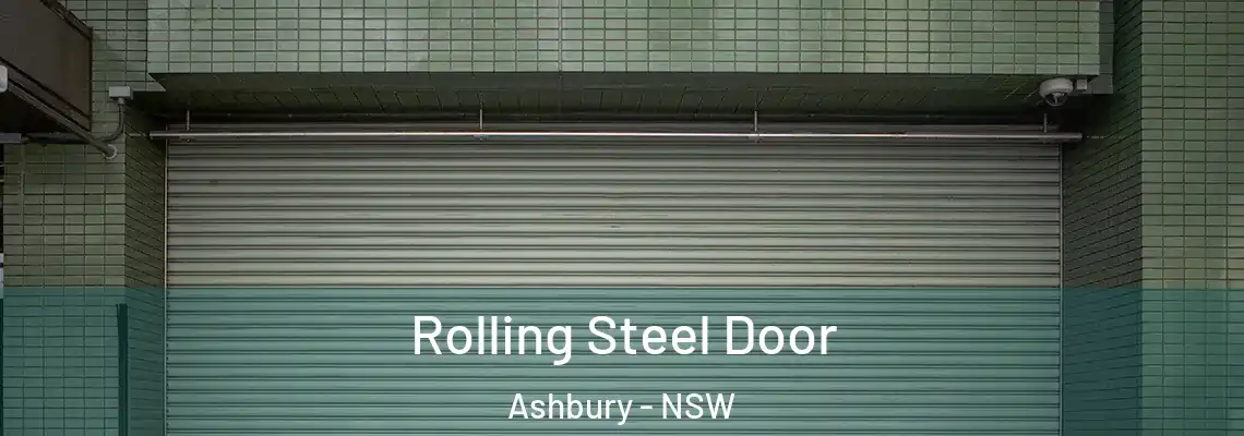  Rolling Steel Door Ashbury - NSW