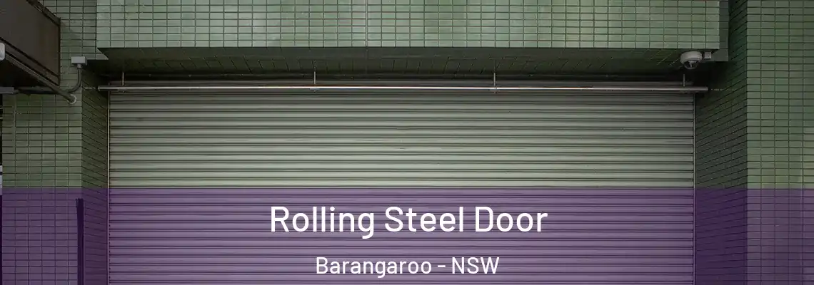  Rolling Steel Door Barangaroo - NSW