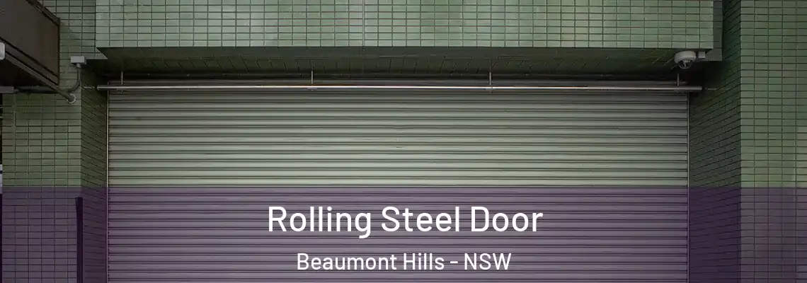  Rolling Steel Door Beaumont Hills - NSW