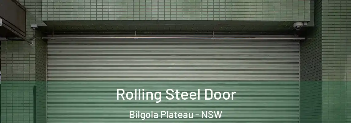  Rolling Steel Door Bilgola Plateau - NSW