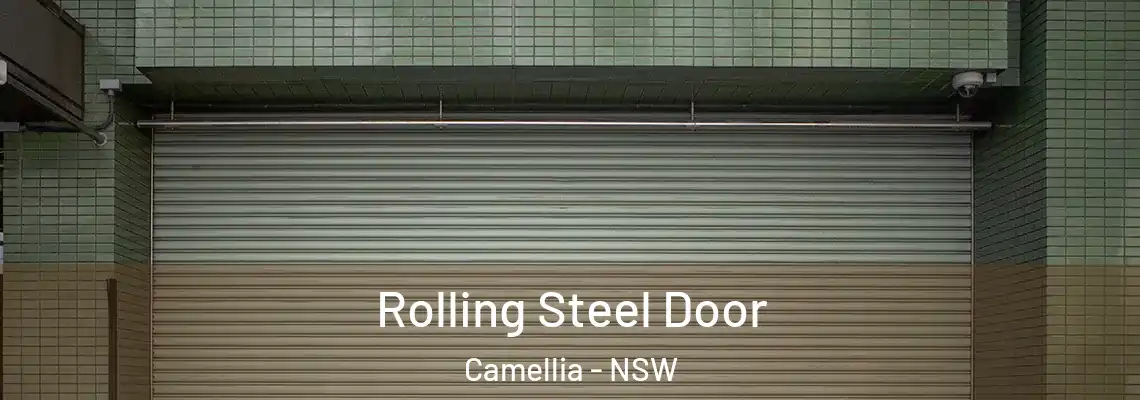  Rolling Steel Door Camellia - NSW