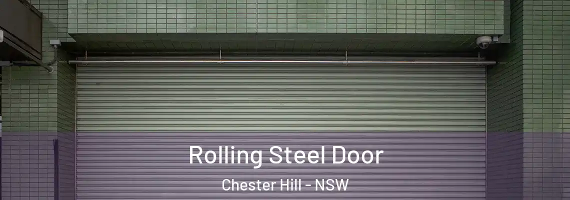  Rolling Steel Door Chester Hill - NSW