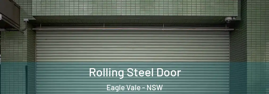  Rolling Steel Door Eagle Vale - NSW
