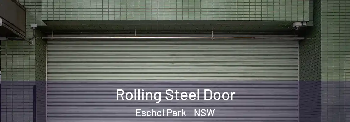  Rolling Steel Door Eschol Park - NSW