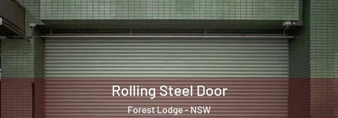  Rolling Steel Door Forest Lodge - NSW