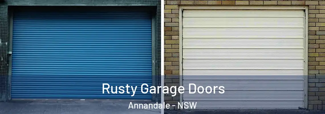  Rusty Garage Doors Annandale - NSW