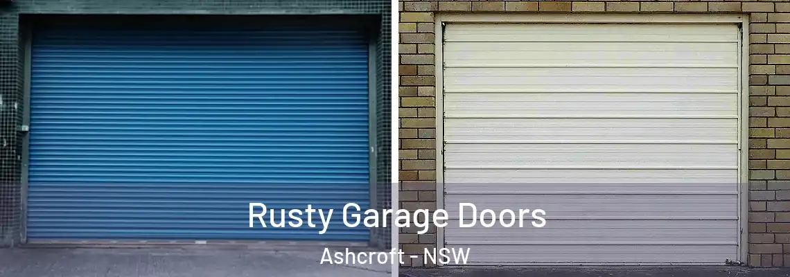  Rusty Garage Doors Ashcroft - NSW