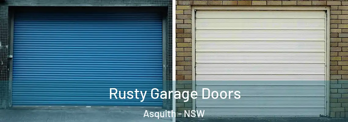  Rusty Garage Doors Asquith - NSW