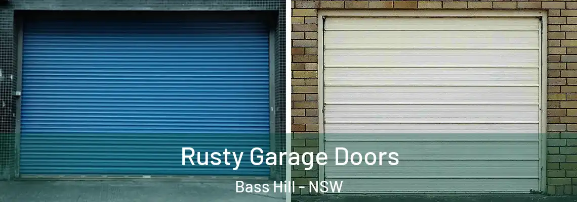  Rusty Garage Doors Bass Hill - NSW