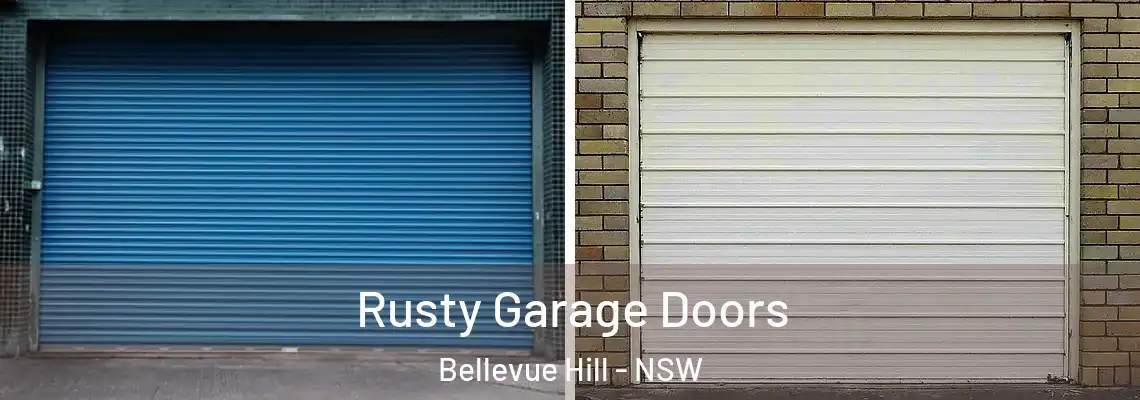 Rusty Garage Doors Bellevue Hill - NSW