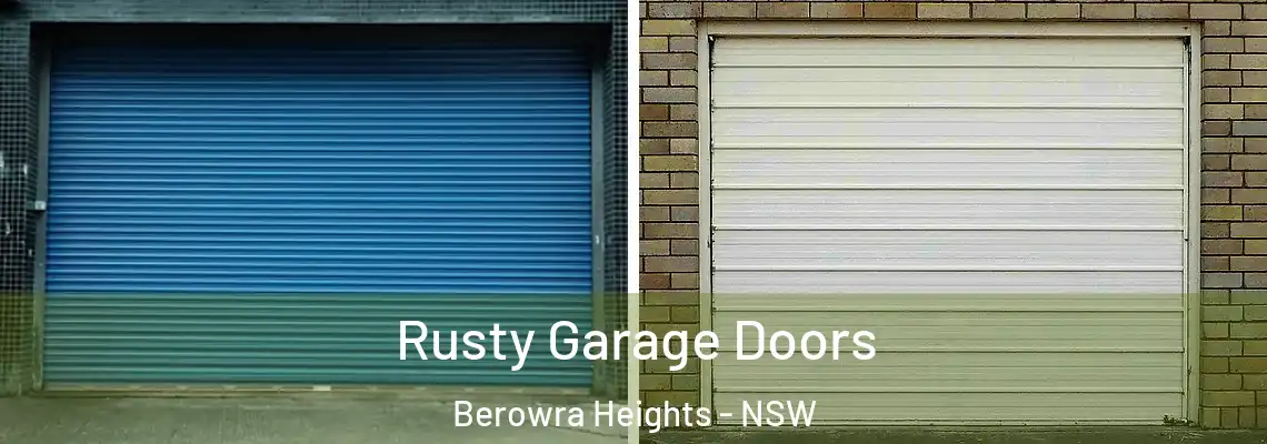  Rusty Garage Doors Berowra Heights - NSW
