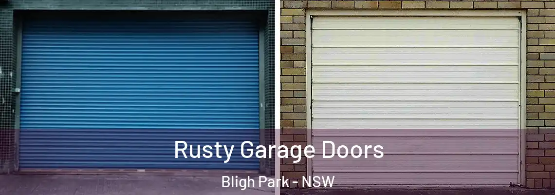  Rusty Garage Doors Bligh Park - NSW