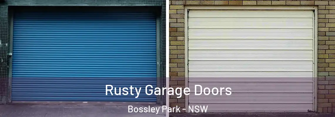  Rusty Garage Doors Bossley Park - NSW