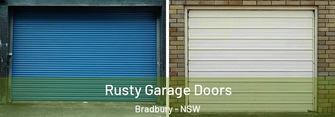  Rusty Garage Doors Bradbury - NSW