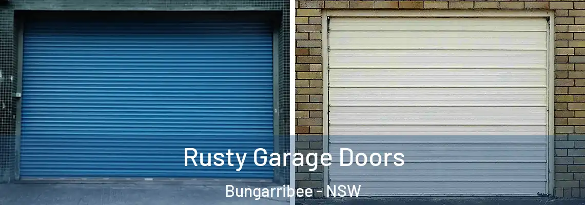  Rusty Garage Doors Bungarribee - NSW