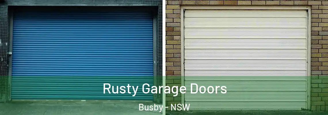  Rusty Garage Doors Busby - NSW
