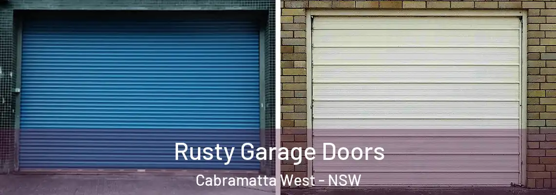 Rusty Garage Doors Cabramatta West - NSW