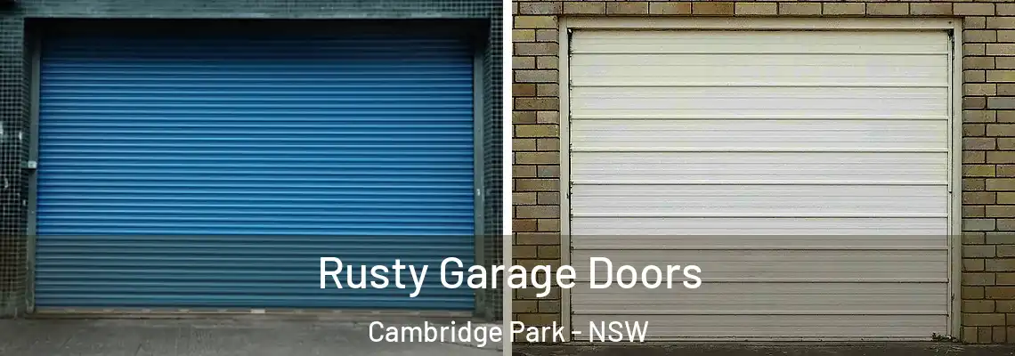  Rusty Garage Doors Cambridge Park - NSW