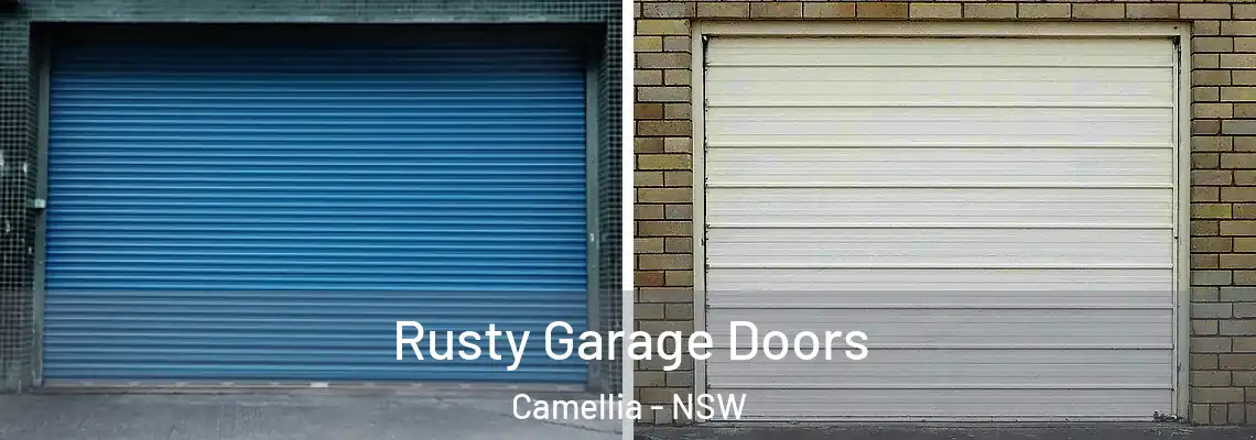  Rusty Garage Doors Camellia - NSW