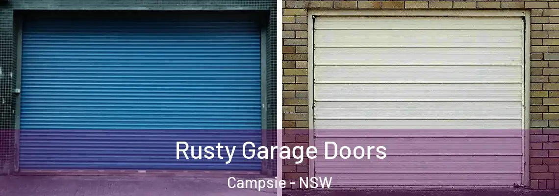  Rusty Garage Doors Campsie - NSW