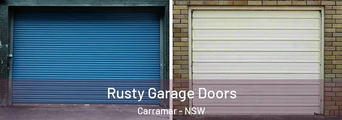  Rusty Garage Doors Carramar - NSW