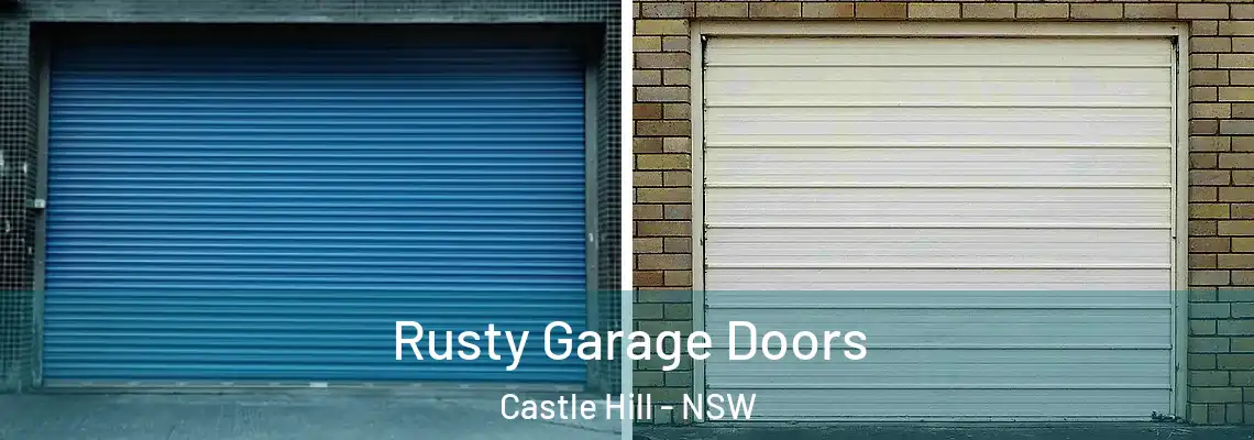  Rusty Garage Doors Castle Hill - NSW