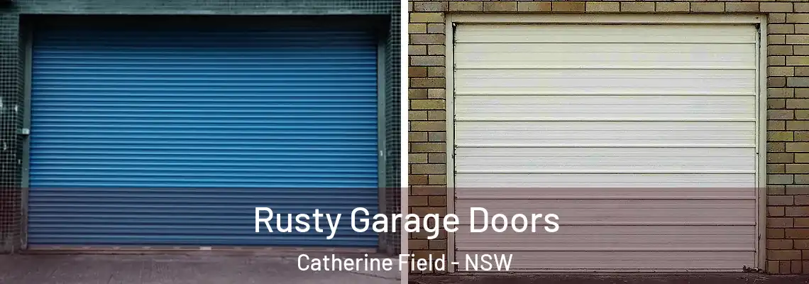  Rusty Garage Doors Catherine Field - NSW