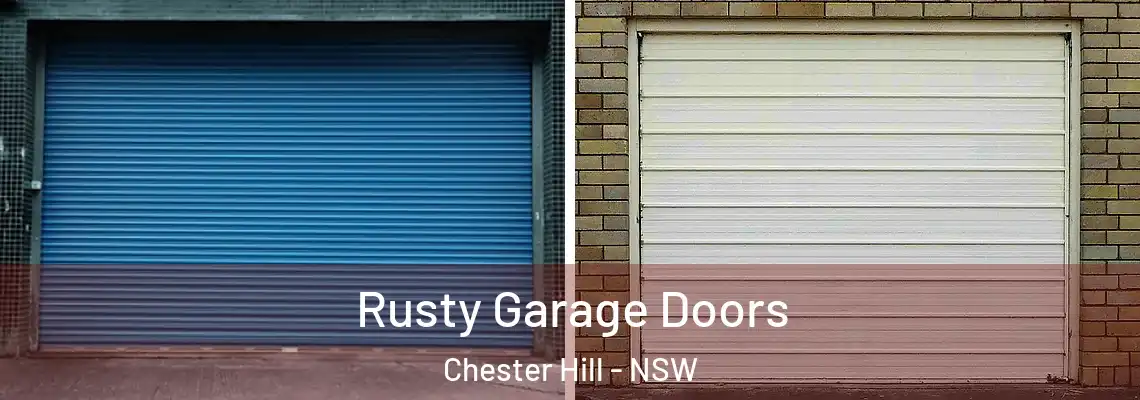  Rusty Garage Doors Chester Hill - NSW