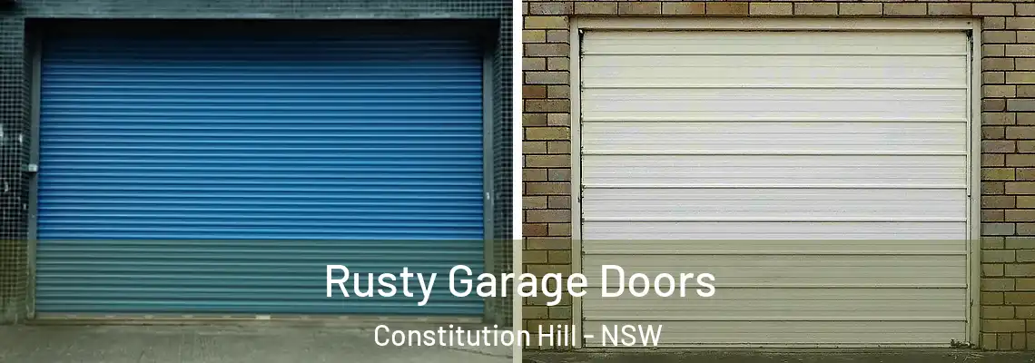  Rusty Garage Doors Constitution Hill - NSW