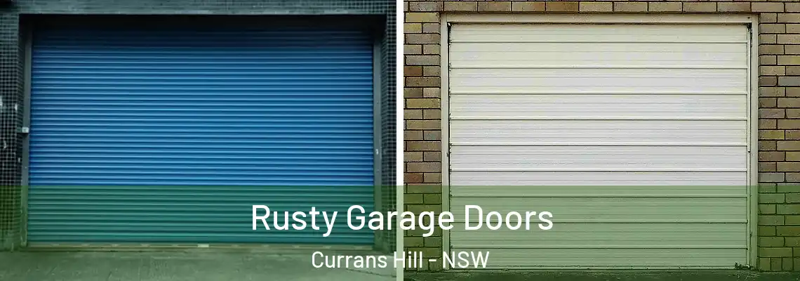  Rusty Garage Doors Currans Hill - NSW
