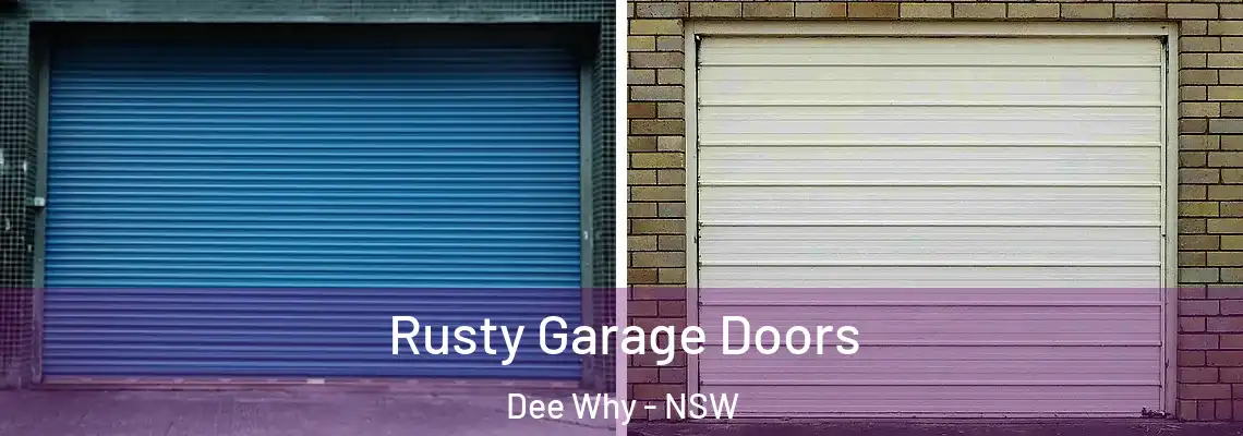  Rusty Garage Doors Dee Why - NSW