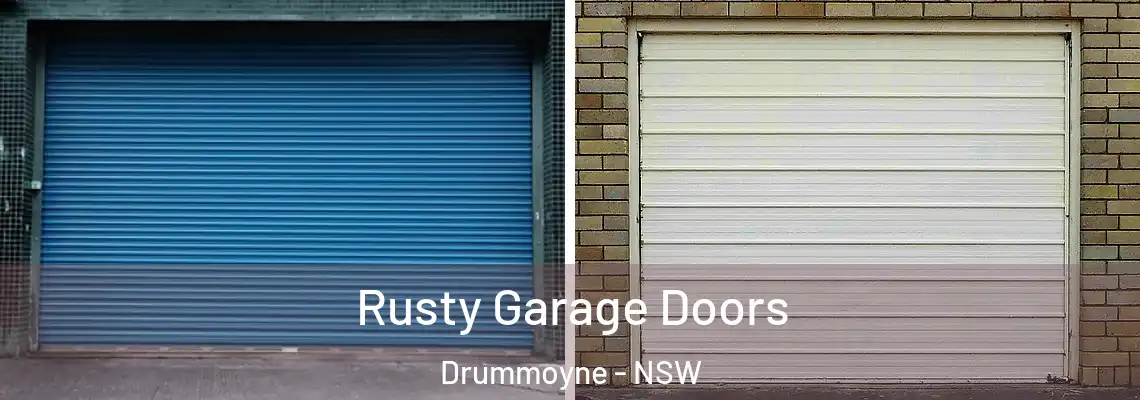  Rusty Garage Doors Drummoyne - NSW