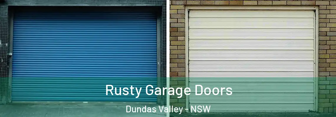  Rusty Garage Doors Dundas Valley - NSW