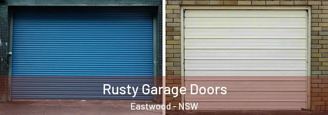  Rusty Garage Doors Eastwood - NSW