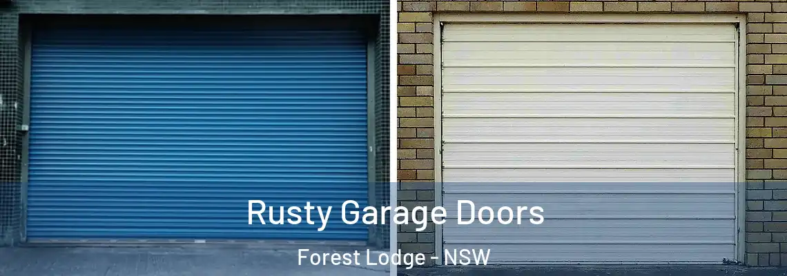  Rusty Garage Doors Forest Lodge - NSW